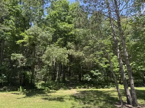 7672 E 48th St, Chase, MI 49623 photo 49