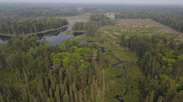 Parcel B Cherry Creek Trail, Grayling, MI 49738
