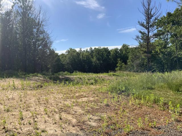 16000 NE Force Ave NE, Cedar Springs, MI 49319