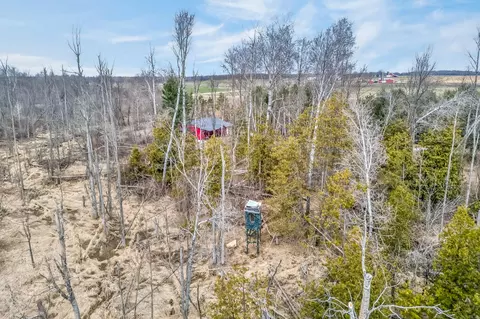 View/Area - 875 E Jackson Rd, Hart, MI 49420 photo 6 of 6