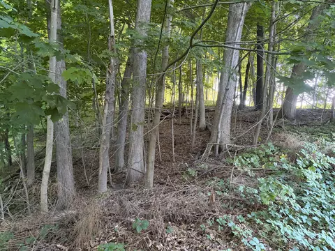 Allman Road, Concord, MI 49237 photo 7