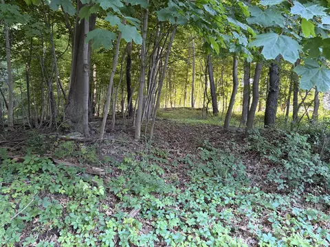 Allman Road, Concord, MI 49237 photo 5