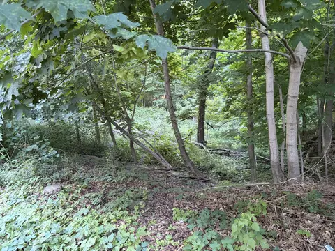 Allman Road, Concord, MI 49237 photo 6