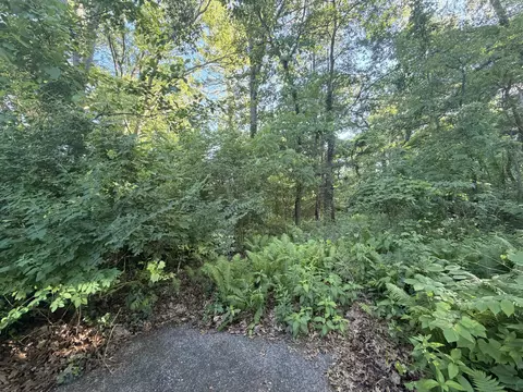6034 River Ridge Ct, Hamilton, MI 49419