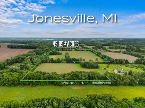 00 Goose Lake Rd, Jonesville, MI 49250