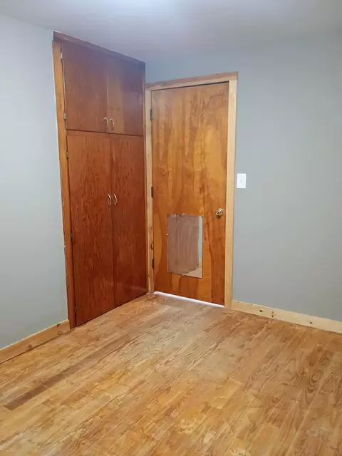 502 E Forest St, Edmore, MI 48829 photo 16