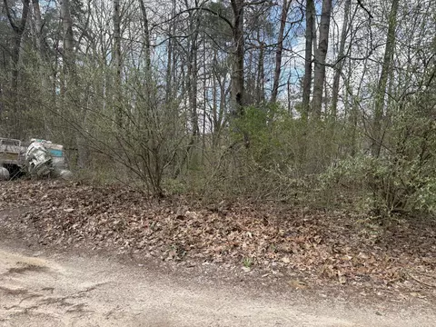 8113 Poplar Dr, Reading, MI 49274 photo 2