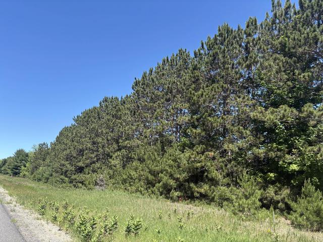 7 91 Acres Butwell Rd, Bear Lake, MI 49614