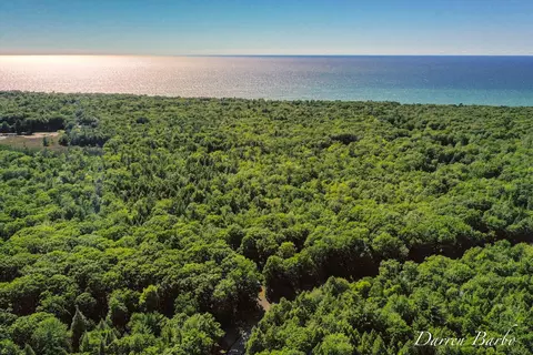 View/Area - 4561 N Pine Ave, Mears, MI 49436 photo 5 of 6