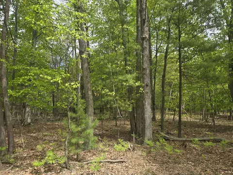 Vl 10 Acre N Ridge Road Road, Mears, MI 49436