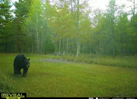V/l E Kinney Rd, Branch, MI 49402 photo 34