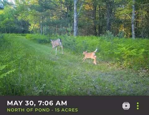 V/l E Kinney Rd, Branch, MI 49402 photo 38