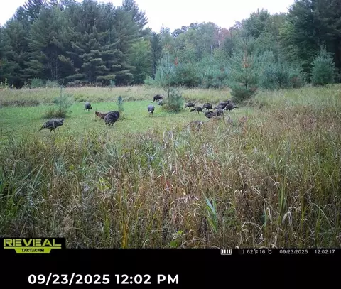 V/l E Kinney Rd, Branch, MI 49402 photo 31