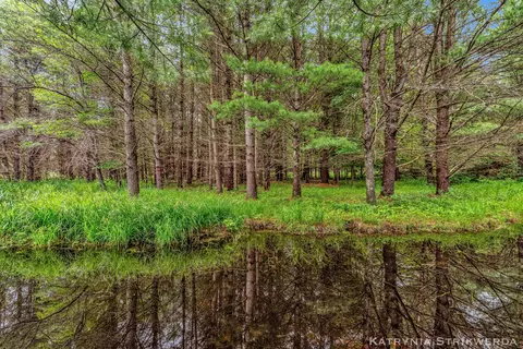 V/l E Kinney Rd, Branch, MI 49402 photo 19