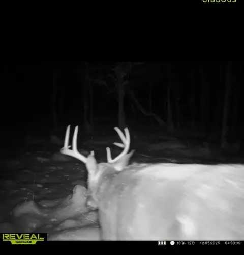 V/l E Kinney Rd, Branch, MI 49402 photo 32