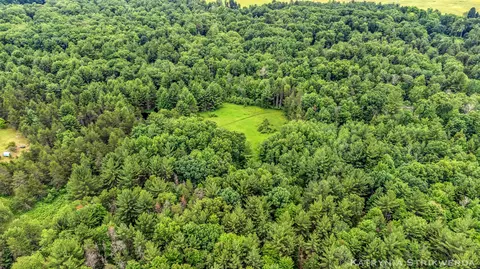 V/l E Kinney Rd, Branch, MI 49402 photo 7