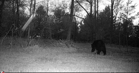 V/l E Kinney Rd, Branch, MI 49402 photo 37