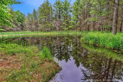 V/l E Kinney Rd, Branch, MI 49402