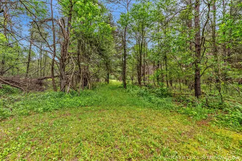 V/l E Kinney Rd, Branch, MI 49402 photo 23