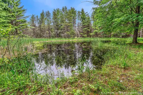 V/l E Kinney Rd, Branch, MI 49402 photo 22