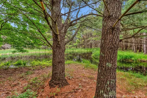 V/l E Kinney Rd, Branch, MI 49402 photo 20