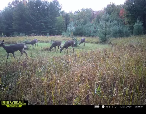 V/l E Kinney Rd, Branch, MI 49402 photo 36