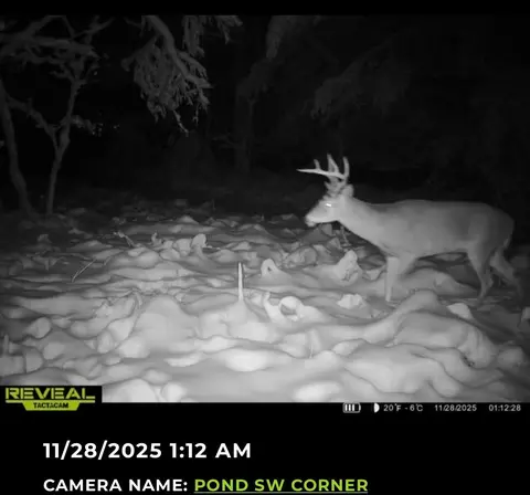V/l E Kinney Rd, Branch, MI 49402 photo 33