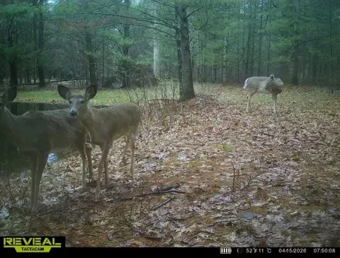 V/l E Kinney Rd, Branch, MI 49402 photo 30