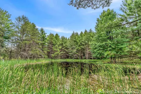 V/l E Kinney Rd, Branch, MI 49402 photo 15