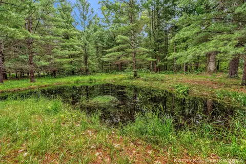 V/l E Kinney Rd, Branch, MI 49402 photo 21