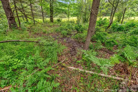 V/l E Kinney Rd, Branch, MI 49402 photo 27