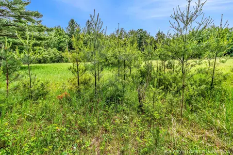 V/l E Kinney Rd, Branch, MI 49402 photo 16