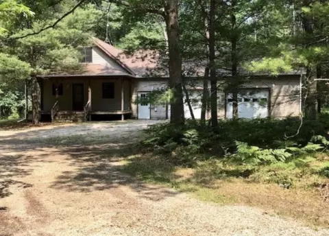 8641 Squaw Lake Rd, Irons, MI 49644
