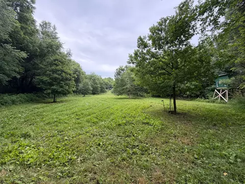 52402 Oak Plains Rd, Three Rivers, MI 49093 photo 24