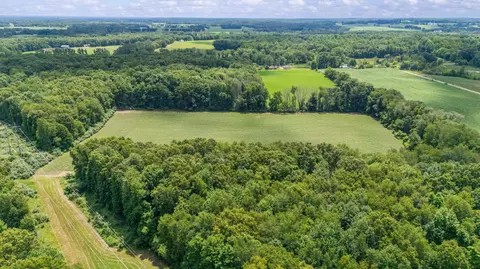 52402 Oak Plains Rd, Three Rivers, MI 49093 photo 9
