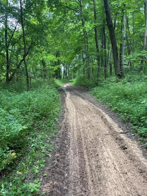 52402 Oak Plains Rd, Three Rivers, MI 49093 photo 28