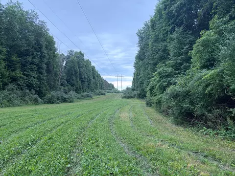 52402 Oak Plains Rd, Three Rivers, MI 49093 photo 39