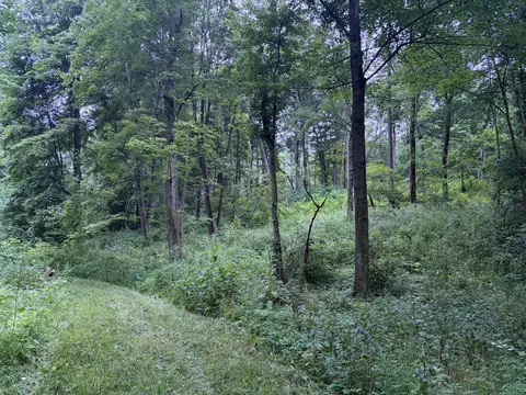 52402 Oak Plains Rd, Three Rivers, MI 49093 photo 27