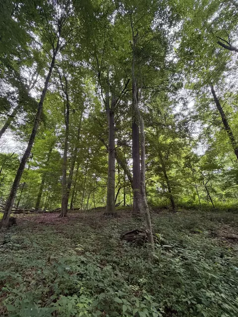 52402 Oak Plains Rd, Three Rivers, MI 49093 photo 26