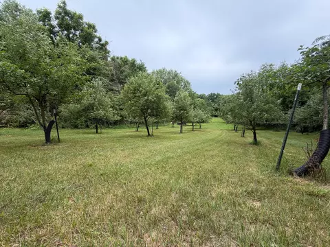 52402 Oak Plains Rd, Three Rivers, MI 49093 photo 21