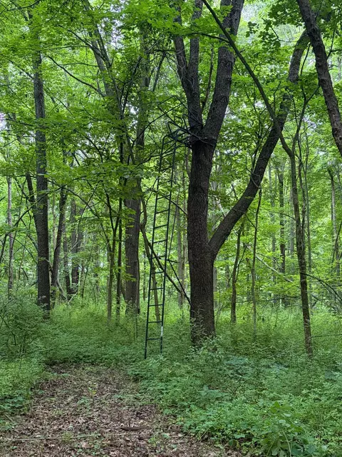 52402 Oak Plains Rd, Three Rivers, MI 49093 photo 44