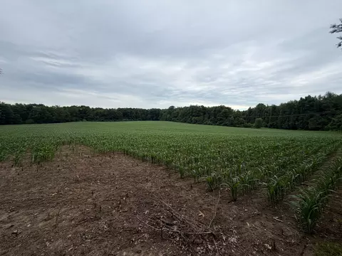52402 Oak Plains Rd, Three Rivers, MI 49093 photo 41