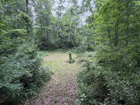 52402 Oak Plains Rd, Three Rivers, MI 49093 photo 34