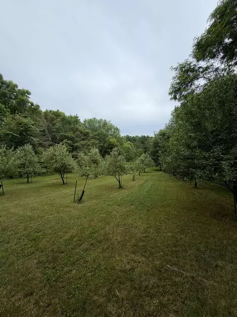 52402 Oak Plains Rd, Three Rivers, MI 49093 photo 22