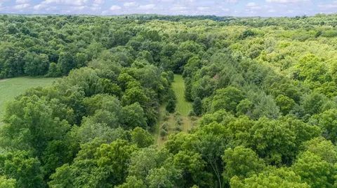 52402 Oak Plains Rd, Three Rivers, MI 49093 photo 4
