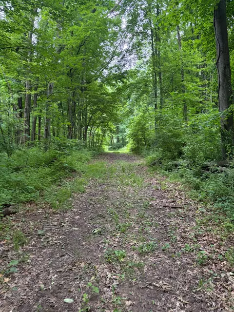 52402 Oak Plains Rd, Three Rivers, MI 49093 photo 31
