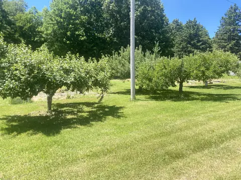 Exterior - 12915 Cassidy Rd, Bellevue, MI 49021 photo 17 of 25