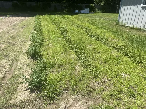 Other - 12915 Cassidy Rd, Bellevue, MI 49021 photo 56 of 64