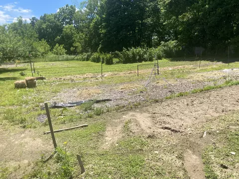 Other - 12915 Cassidy Rd, Bellevue, MI 49021 photo 57 of 64