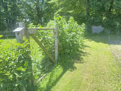 Exterior - 12915 Cassidy Rd, Bellevue, MI 49021 photo 19 of 25